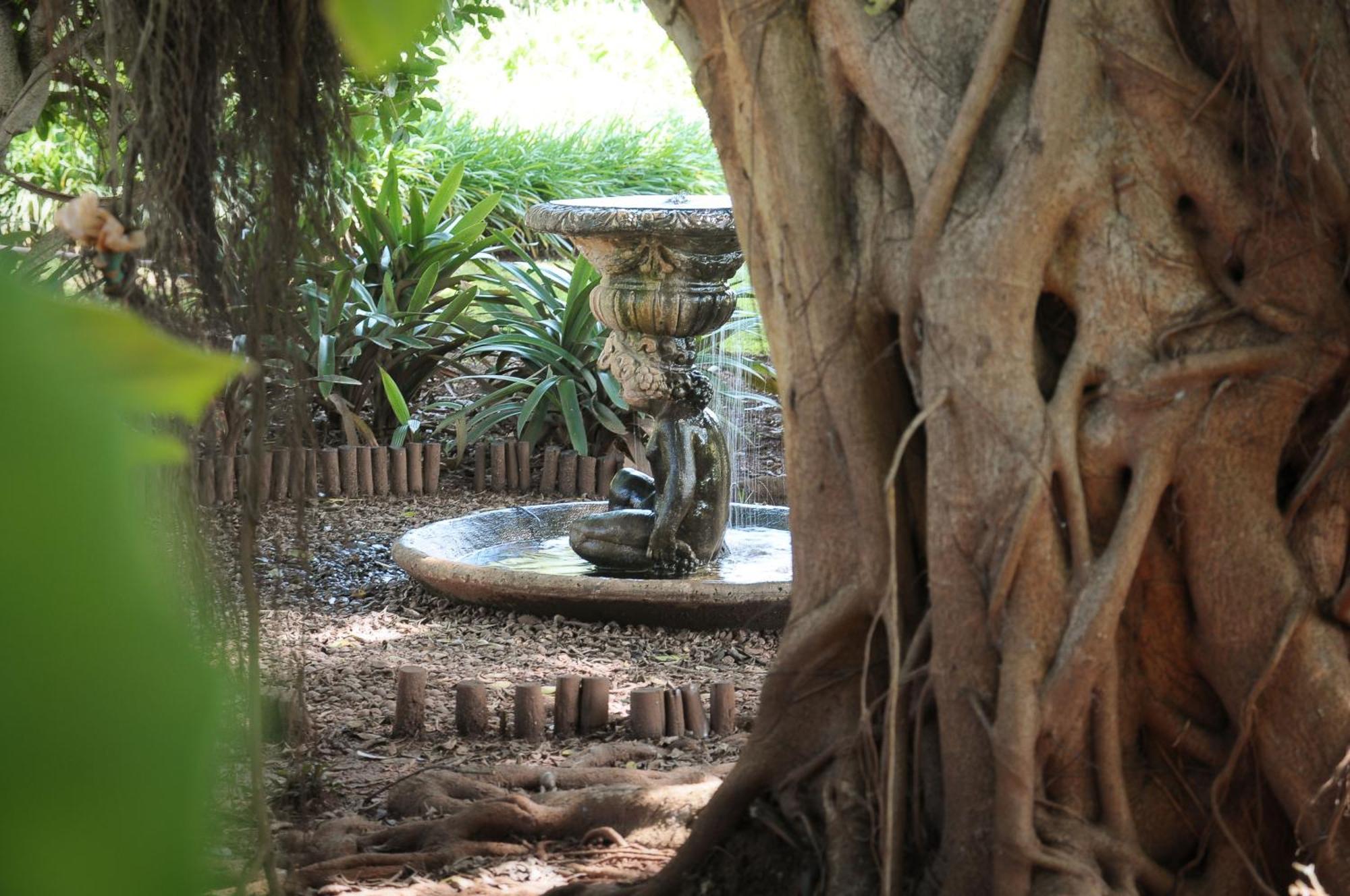 Mount Azimbo Lodge Louis Trichardt Exteriér fotografie