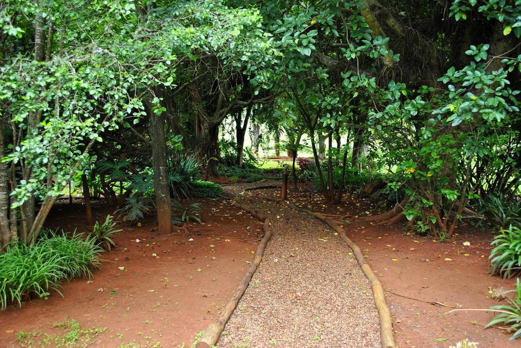 Mount Azimbo Lodge Louis Trichardt Exteriér fotografie